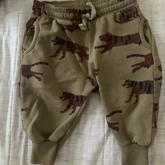 Zara baby pants 9-12 months - Picture 1 of 2